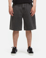 Шорты Anteater BaggyShorts Серый