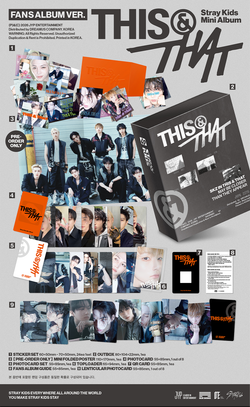 [Альбом] Stray Kids - THIS & THAT (FANS ALBUM VER.)
