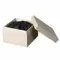 Final Audio DX10000CL Collectors Edition Black Gold