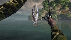Ultimate Fishing Simulator - Thailand (для ПК, цифровой код доступа)