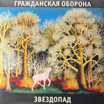 Гражданская Оборона ‎– Звездопад (Россия 2024г.)