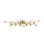 Потолочная люстра Freya Celebrity FR5242CL-24BS