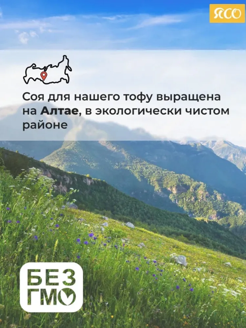 Тофу набор «Натуральный + копченый»