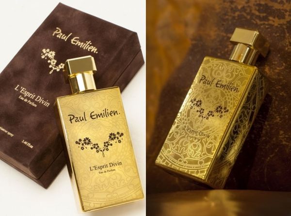 Paul Emilien L'Esprit Divin