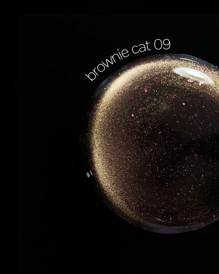 Brownie cat color gel 10g 09 Iperfect
