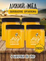 Мёд натуральный дикий набор (4 банки по 700 г), 2800 г