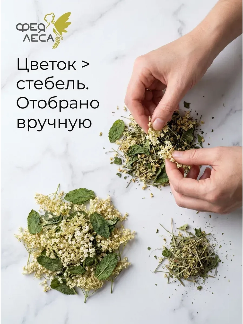 Полынь обыкновенная (Чернобыльник) цвет и листья сушеные