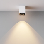 Накладной светодиодный светильник Maytoni Alfa LED C065CL-8W3K-SQ-WB