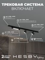 Комплект трековый Hesby Lighting Skylite No14 HSBL_kompl_S014_NI1B4K