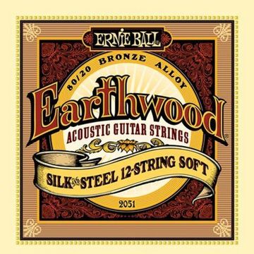 Струны для 12 струнной акустической гитары 9-46 ERNIE BALL P02051 Earthwood Silk & Steel Soft