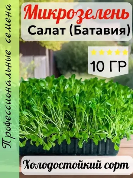 Микрозелень семена Салат "Батавия" 10гр