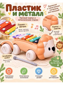 Металлофон детский Львёнок (1002E-D)