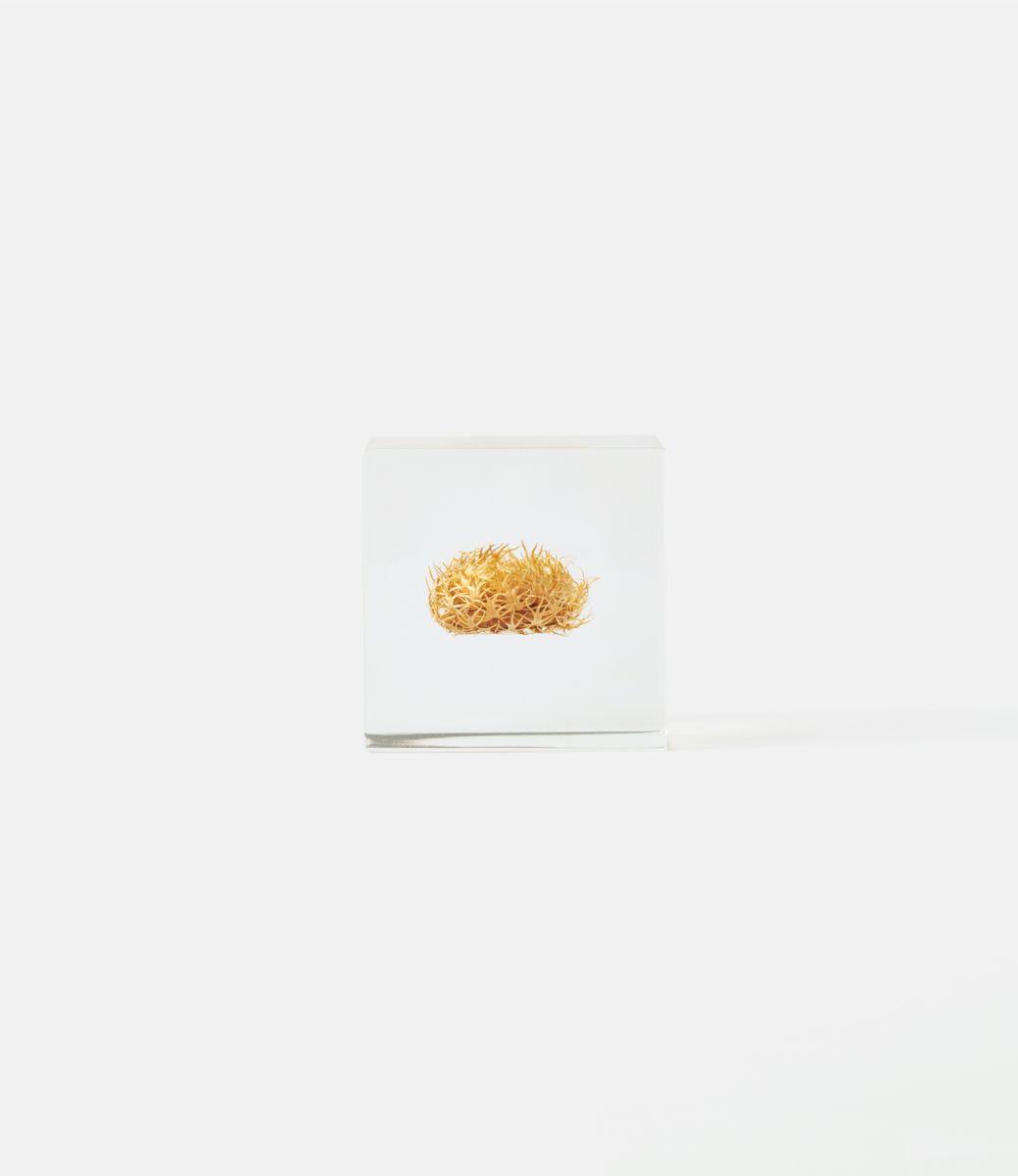 Sola Cube Basket Flower — куб из акриловой смолы
