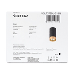 Потолочный светильник Voltega VGL7372DL-01BG