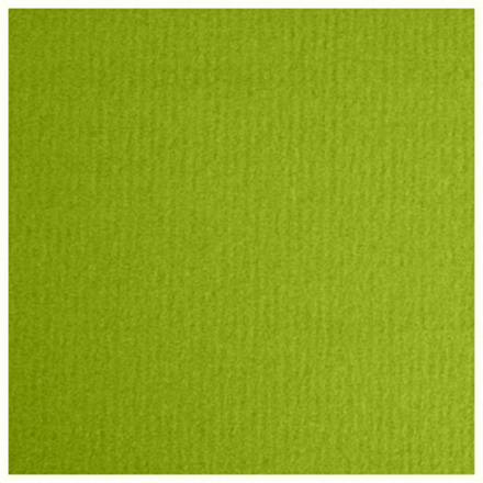 LANA Бумага для пастели «Lana Colours», 160 г/м², 21х29,7 см, 25 л, фисташковый