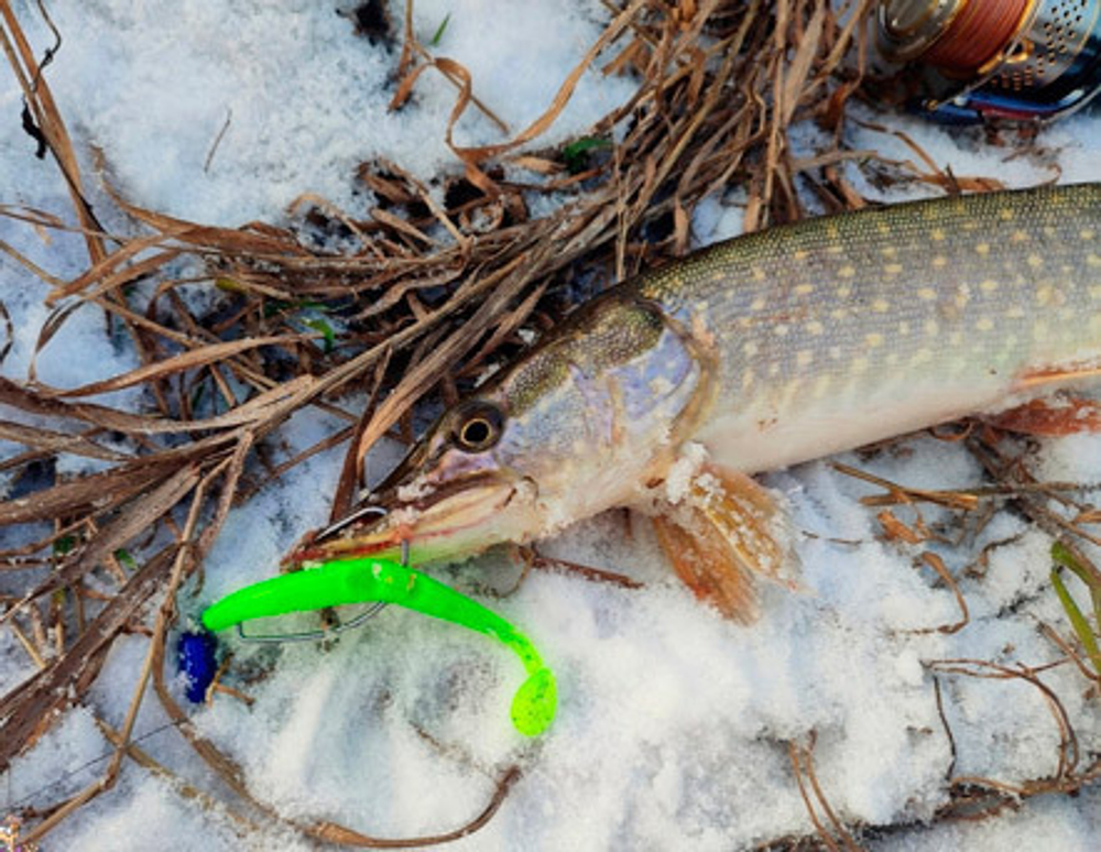 Fish KayuKer 75 мм - приманка Brown Perch (10 шт)