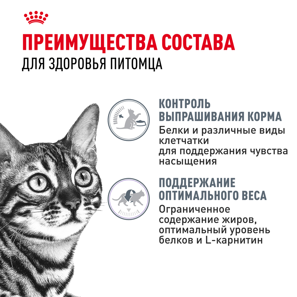 Royal Canin Appetite Control Care Аппетайт контрол кэа Корм сухой для взрослых кошек контроль выпрашивания корма 400г