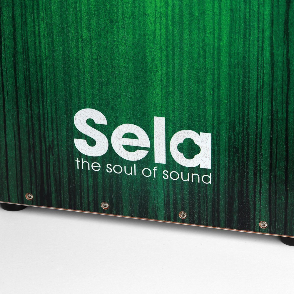 SELA SE 131 EN Cajon Varios Bundle Green (рюкзак, обучающее пособие, коврик на сиденье в комплекте)