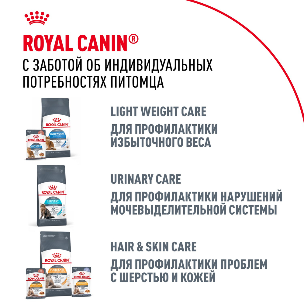 Royal Canin Maine Coon Adult Мейн Кун Эдалт Корм сухой для взрослых кошек породы Мэйн Кун 10кг