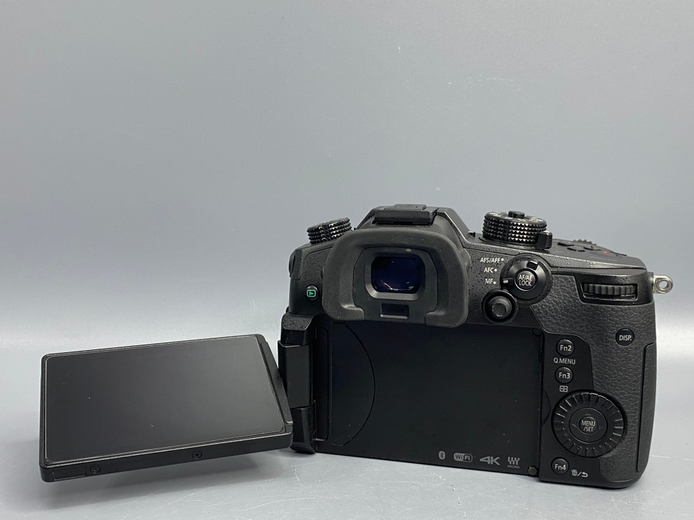 Panasonic Lumix GH5 2500 Кадров