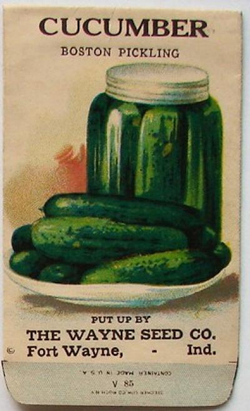Огурцы - Бостонский Пикуль - Boston Pickle
