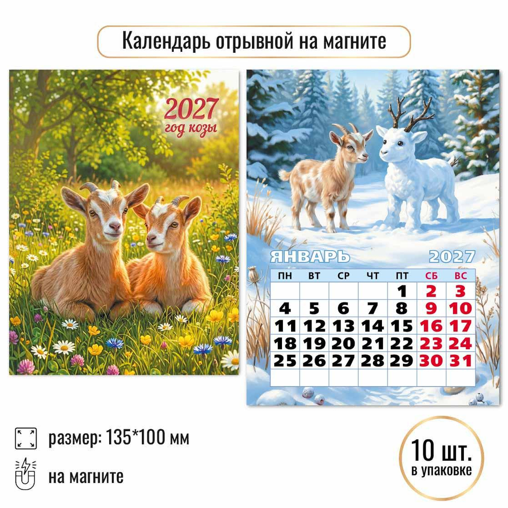 Календарь отрывной на магните 2027 "Символ года" 10334 (Квадра)