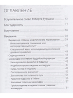 Указывая великий путь. Махамудра: этапы медитации