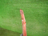 DSCN8256.jpg