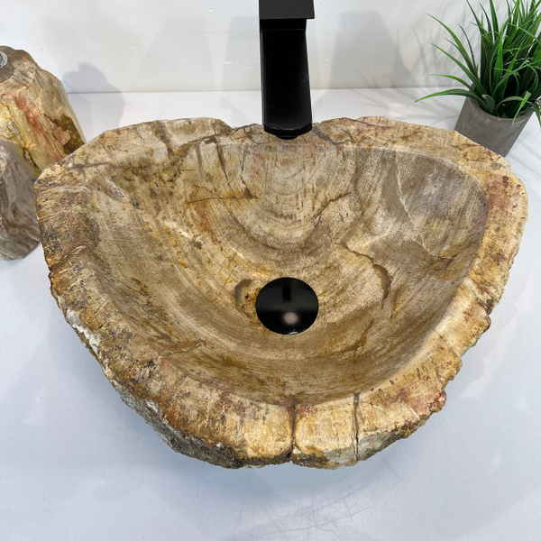 Раковина из окаменелого дерева OD-66911 46x33x16 из натурального камня