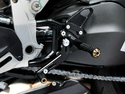 DSTR3 BONAMICI ADJUSTABLE REARSETS (SF V2)