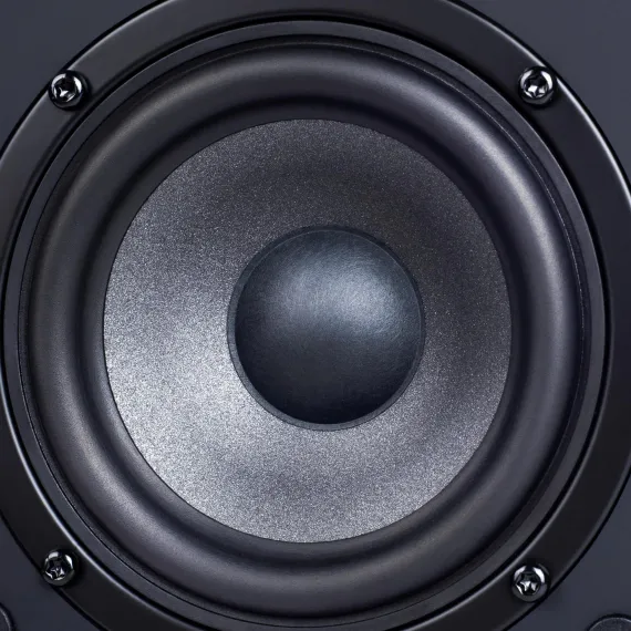 Radiotehnika S-10NA Black Ash