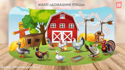 Макет "Домашние птицы"