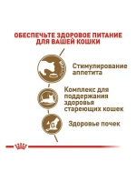 ROYAL CANIN AGEING 12+ (Роял Канин Эгейн) корм сухой для пожилых кошек 4 кг.