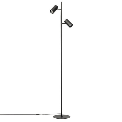 Citilux Twin CL809011N Торшер светодиодный Чёрный
