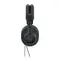 Austrian Audio The Composer Black