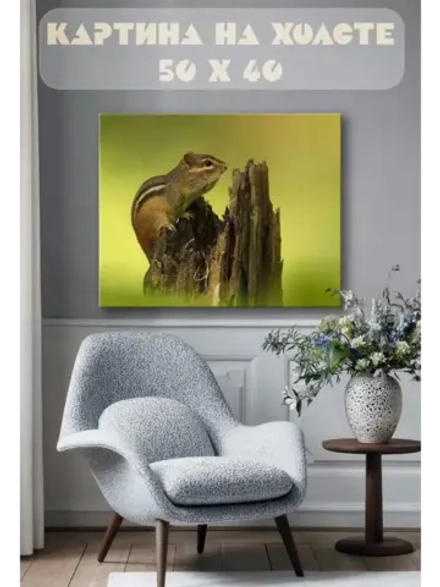 Картина на стену 40 X 50 Белка