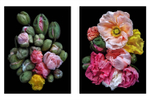 Beauty in Bloom: Floral Portraits