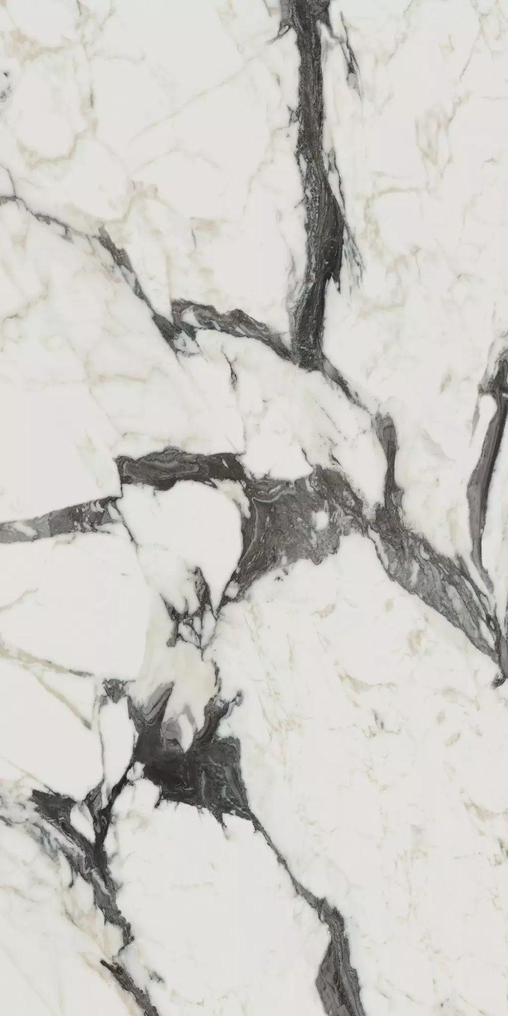 Керамогранит Bijoux Calacata Altissimo Blanc Matte