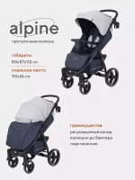 Коляска детская RANT basic "ALPINE" RA450 Grey