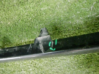 DSCN6387.jpg