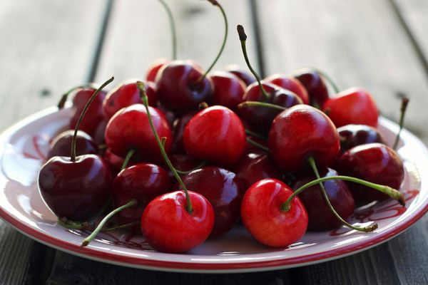 Купить вишню и черешню Купить вишню и черешню