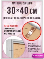 Металлическая рамка 30х40 см для постеров