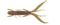 Виброхвосты съедобные LJ Pro Series HOGY SHRIMP 3.5in (8,9 см), цв. PA03, 5 шт.
