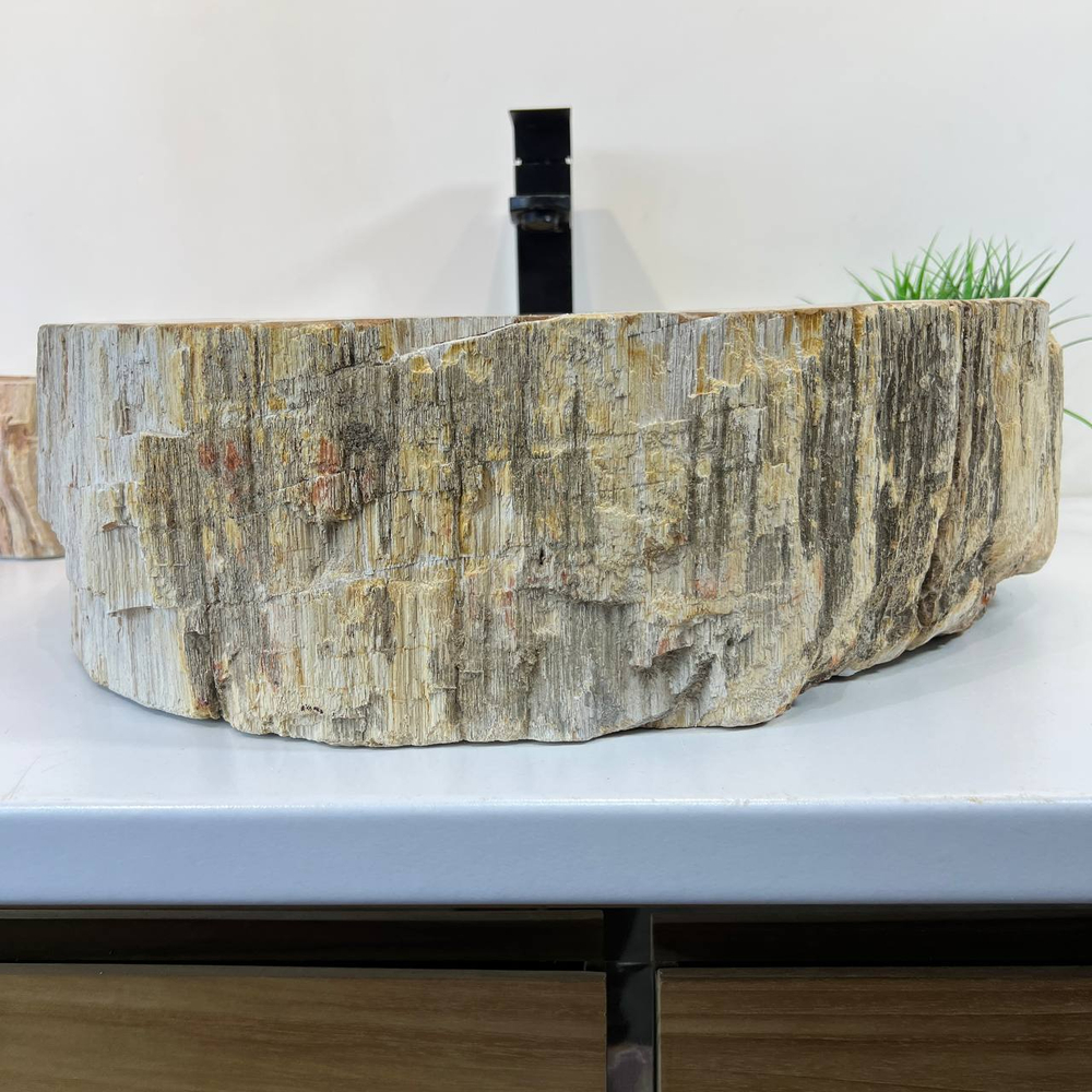 Раковина из окаменелого дерева OD-66915 53x45x15 из натурального камня
