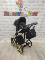 Коляска модульная Adamex Chantal SE C1