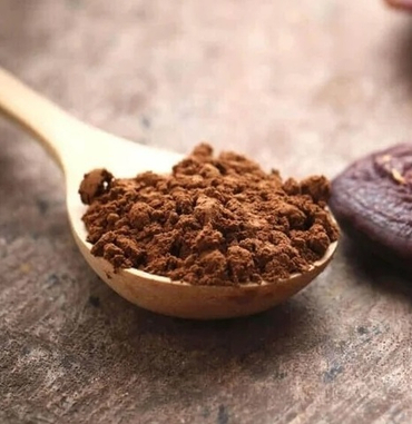 Рейши красный