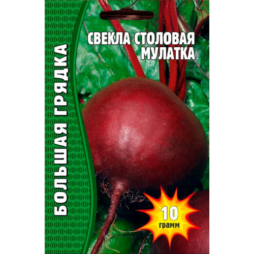 Свекла Мулатка