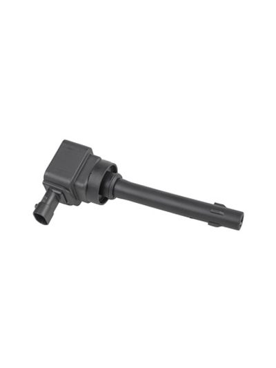 Катушка зажигания Haval (Jolion I 21-22) GANZ GIG16251