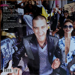 WILLIAMS ROBBIE Life Thru A Lens (Винил)