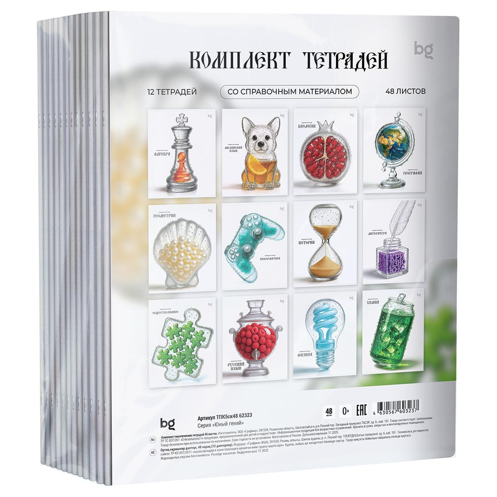 Комплект предметных тетрадей 12шт. А5 48л. "Юный гений" эконом (BG)